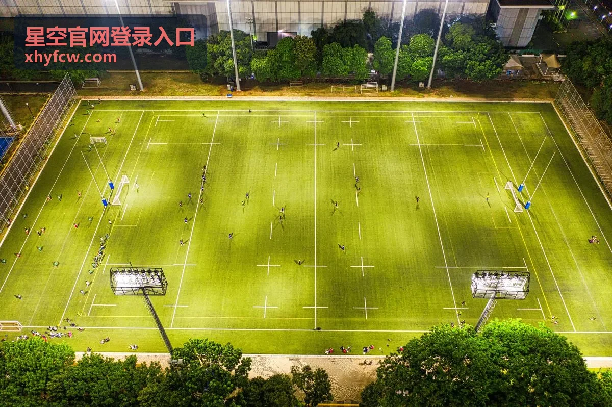 星空官网登录入口 登录流程说明配图