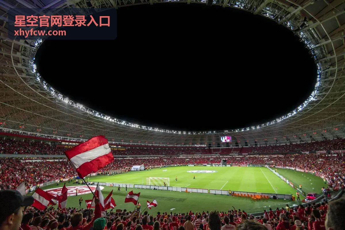 星空官网登录入口 专属内容预览配图