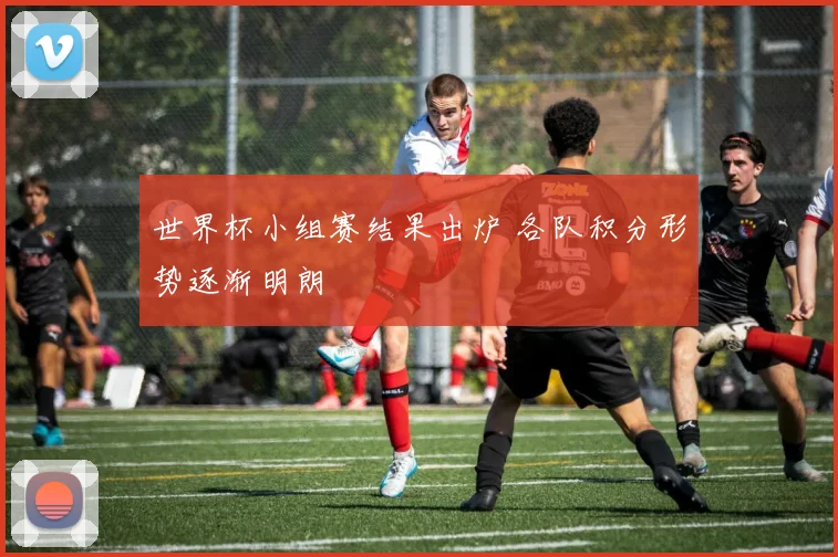 世界杯小组赛结果出炉 各队积分形势逐渐明朗